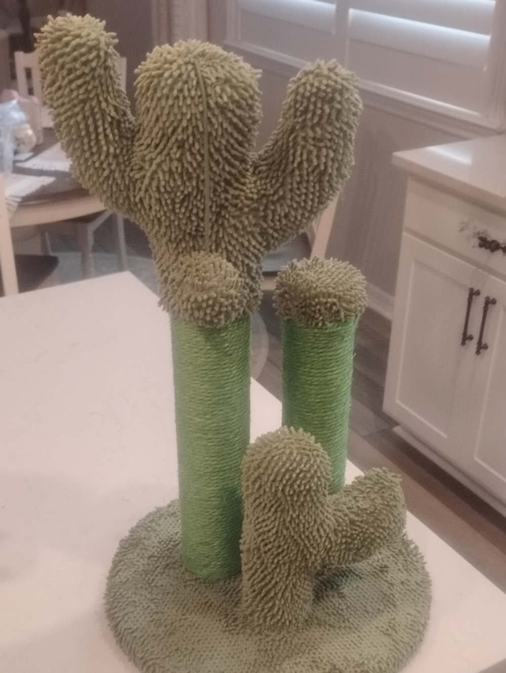 Vibrant Life Cactus Scratching Post - Green NIB